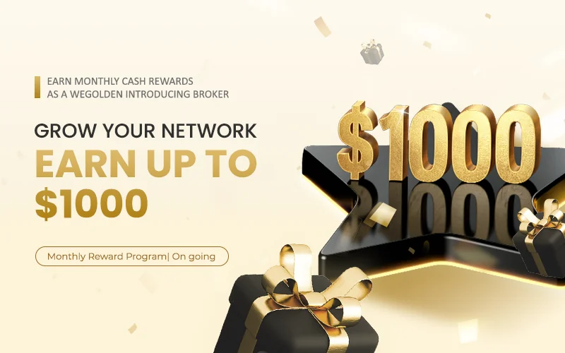 IB Power Rewards